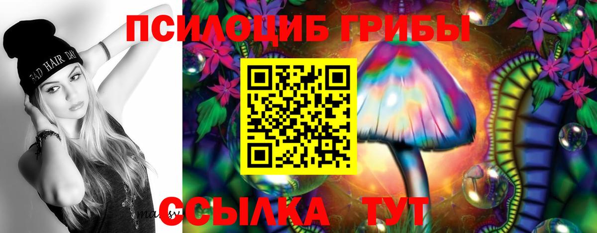 где можно купить наркотик  Галлюциногенные грибы Psilocybine cubensis  Вход с VPN  Псилоцибиновые грибы ЛСД  Мариинск 