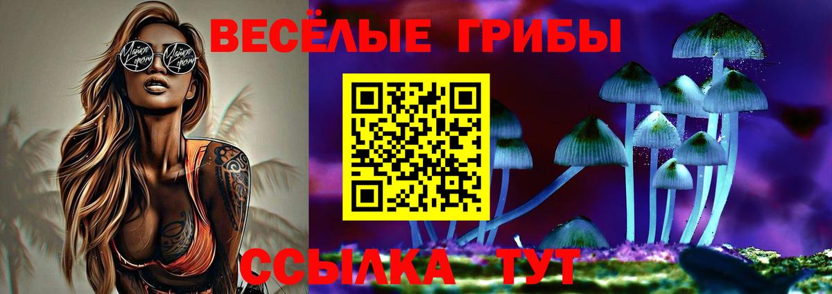 Псилоцибиновые грибы GOLDEN TEACHER Мариинск